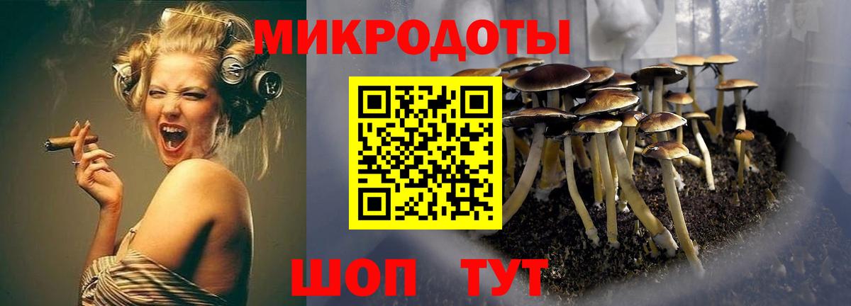 Галлюциногенные грибы мухоморы  Вход с VPN  Псилоцибиновые грибы ЛСД  Тайшет 